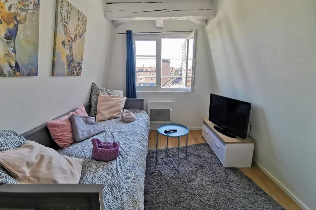 ** appartement cathédrale Strasbourg centre** Exterior foto