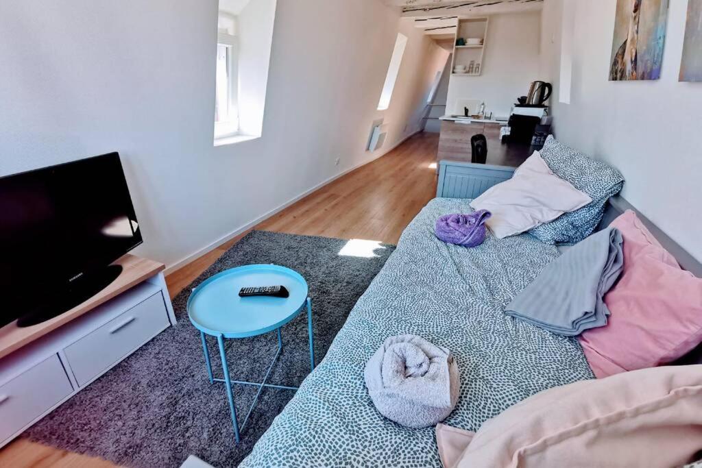 ** appartement cathédrale Strasbourg centre** Exterior foto